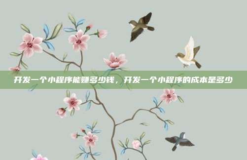 开发一个小程序能赚多少钱,开发一个小程序的成本是多少