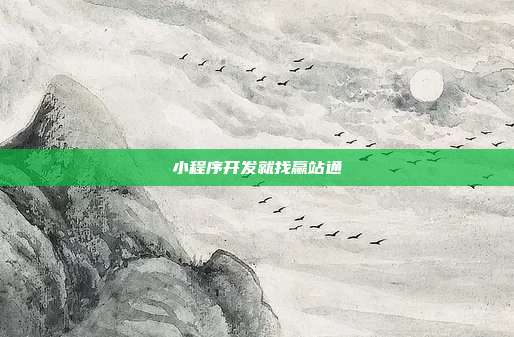 小程序开发就找赢站通