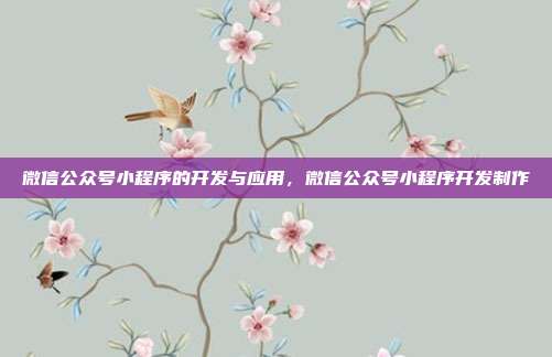 微信公众号小程序的开发与应用,微信公众号小程序开发制作