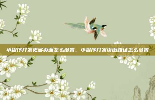 小程序开发更多页面怎么设置，小程序开发页面路径怎么设置
