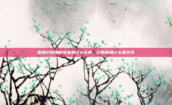 整理记账用的金笔是什么东西,记账时用什么笔书写