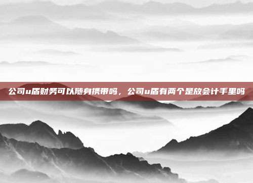 公司u盾财务可以随身携带吗,公司u盾有两个是放会计手里吗