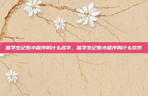 留学生记账小程序叫什么名字，留学生记账小程序叫什么软件