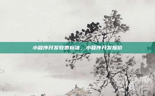 小程序开发收费标准,小程序开发报价