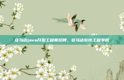 驻马店java开发工程师招聘,驻马店软件工程学院