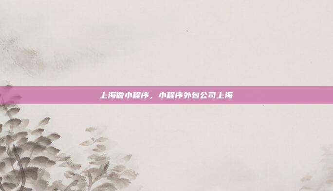 上海做小程序，小程序外包公司上海