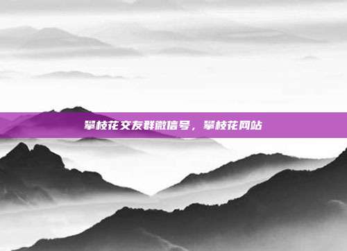 攀枝花交友群微信号,攀枝花网站