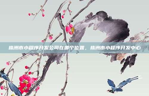 株洲市小程序开发公司在哪个位置,株洲市小程序开发中心