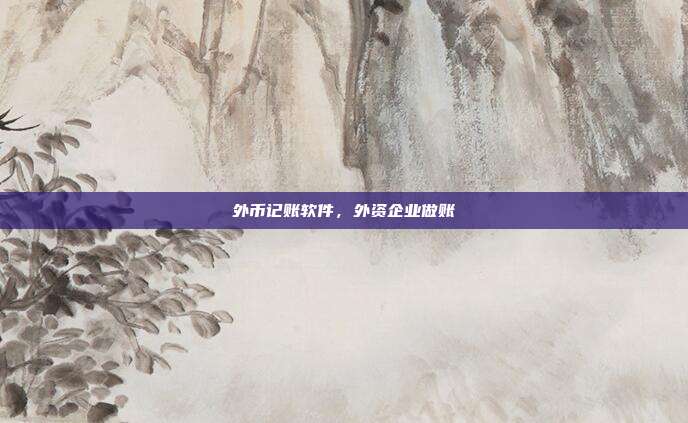 外币记账软件，外资企业做账