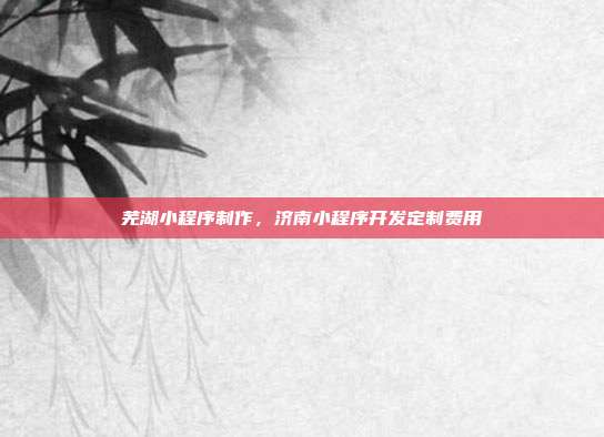 芜湖小程序制作,济南小程序开发定制费用
