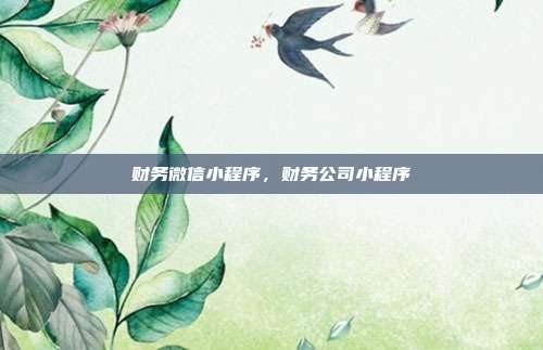 财务微信小程序,财务公司小程序