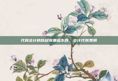 代账会计的耗材有哪些东西,会计代账费用