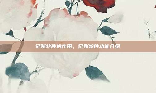 记账软件的作用,记账软件功能介绍