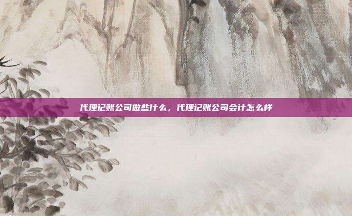 代理记账公司做些什么,代理记账公司会计怎么样