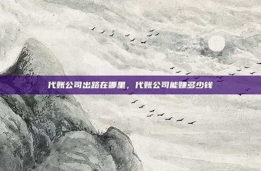 代账公司出路在哪里,代账公司能赚多少钱