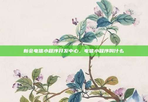 新会电信小程序开发中心,电信小程序叫什么