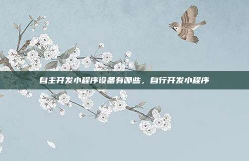 自主开发小程序设备有哪些，自行开发小程序