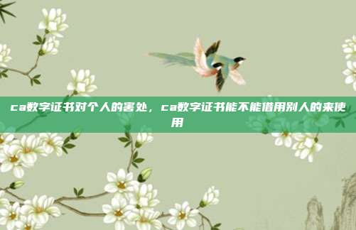 ca数字证书对个人的害处,ca数字证书能不能借用别人的来使用