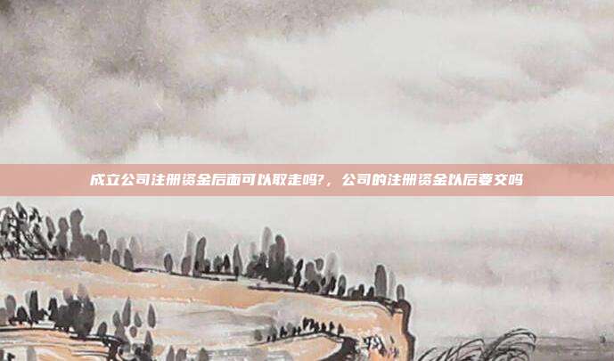 成立公司注册资金后面可以取走吗?，公司的注册资金以后要交吗