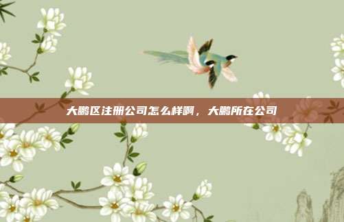 大鹏区注册公司怎么样啊，大鹏所在公司