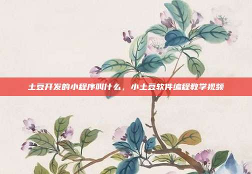 土豆开发的小程序叫什么,小土豆软件编程教学视频