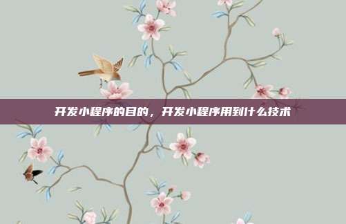 开发小程序的目的，开发小程序用到什么技术