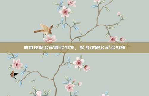 丰县注册公司要多少钱,新乡注册公司多少钱