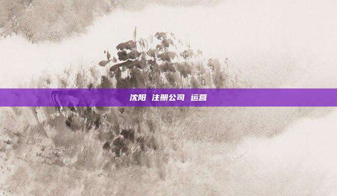 沈阳 注册公司 运营