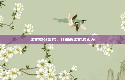 游资有公司吗，注册制游资怎么办