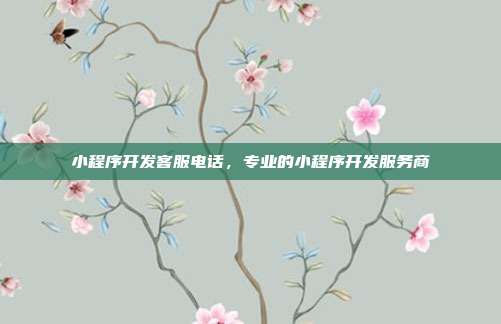小程序开发客服电话,专业的小程序开发服务商