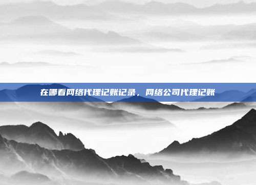 在哪看网络代理记账记录，网络公司代理记账