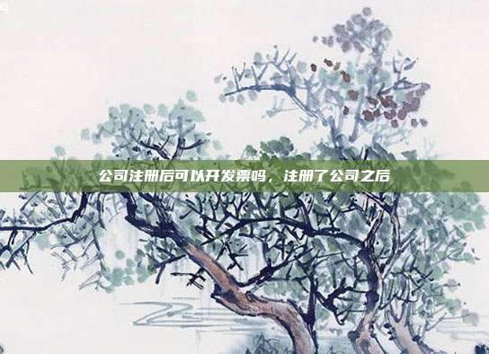 公司注册后可以开发票吗，注册了公司之后