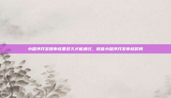小程序开发版审核要多久才能通过，微信小程序开发审核时间