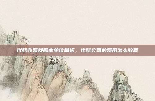 代账收费找哪家单位举报,代账公司的费用怎么收取