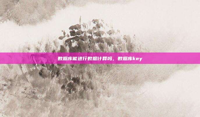 数据库能进行数据计算吗,数据库key
