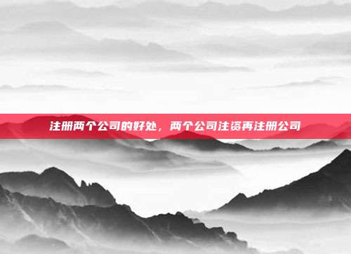 注册两个公司的好处,两个公司注资再注册公司
