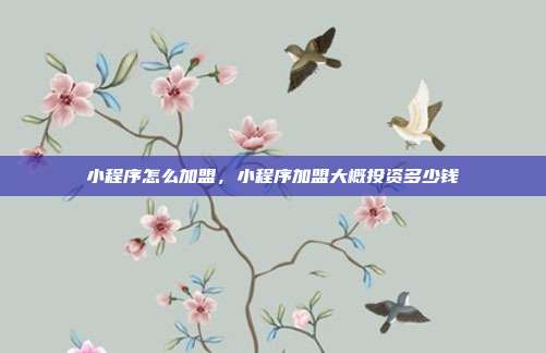 小程序怎么加盟,小程序加盟大概投资多少钱