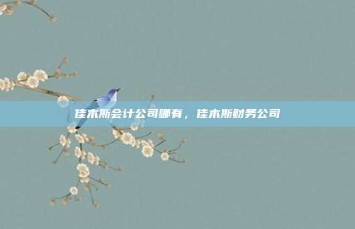 佳木斯会计公司哪有,佳木斯财务公司