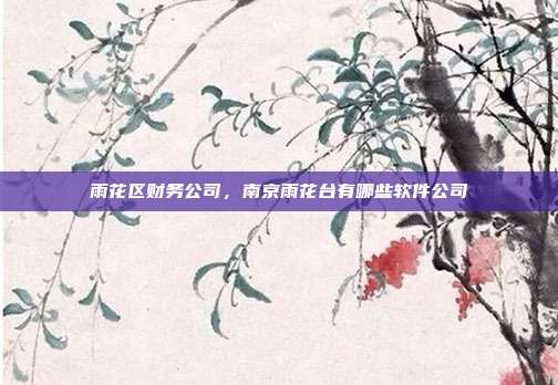 雨花区财务公司,南京雨花台有哪些软件公司