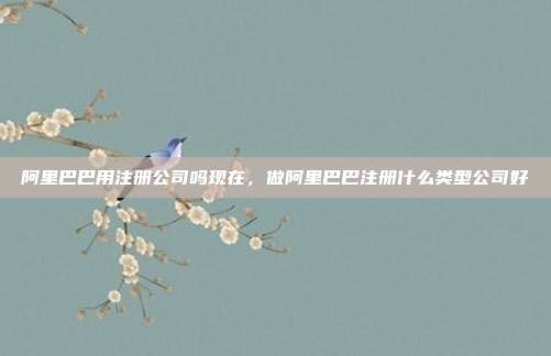 阿里巴巴用注册公司吗现在,做阿里巴巴注册什么类型公司好