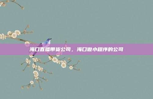 海口直播带货公司,海口做小程序的公司