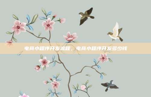 电商小程序开发流程,电商小程序开发多少钱