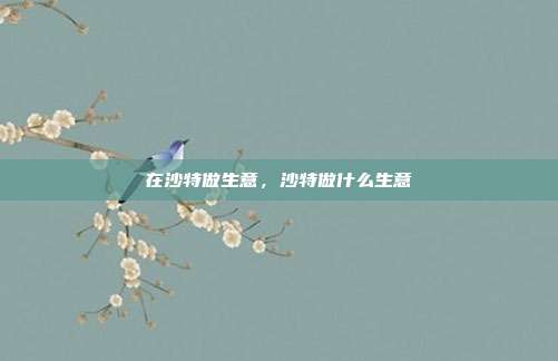 在沙特做生意，沙特做什么生意