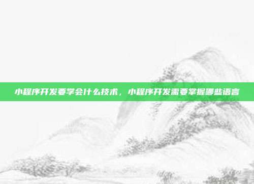 小程序开发要学会什么技术,小程序开发需要掌握哪些语言