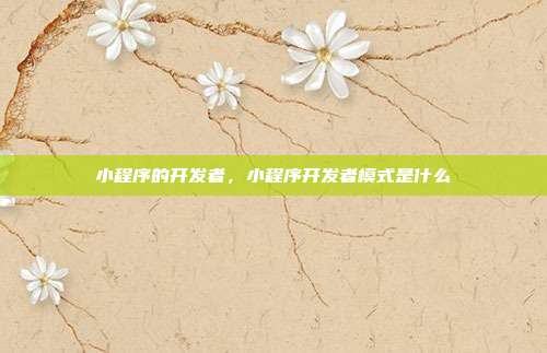 小程序的开发者,小程序开发者模式是什么