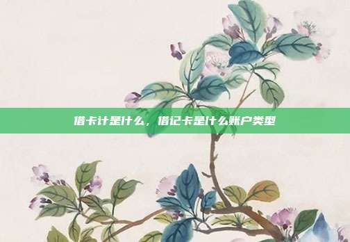 借卡计是什么,借记卡是什么账户类型