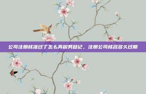 公司注册核准过了怎么弄税务登记,注册公司核名多久过期