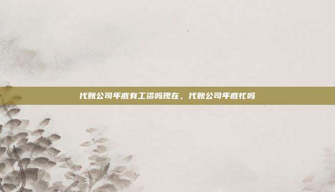 代账公司年底有工资吗现在，代账公司年底忙吗