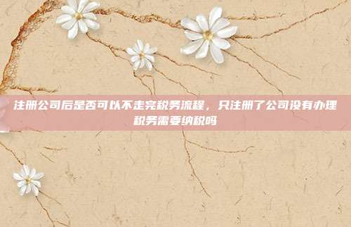 注册公司后是否可以不走完税务流程,只注册了公司没有办理税务需要纳税吗