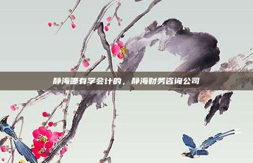 静海哪有学会计的,静海财务咨询公司